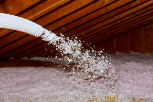 Best Spray Foam Insulation  in Lake Waccamaw, NC