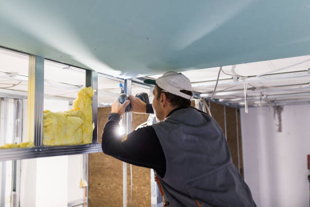 Best Insulation Replacement Services  in Lake Waccamaw, NC