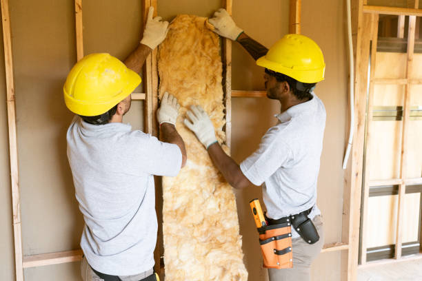 Best Professional Insulation Contractor  in Lake Waccamaw, NC