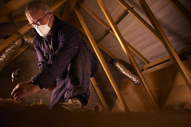 Best Attic Insulation Installation  in Lake Waccamaw, NC